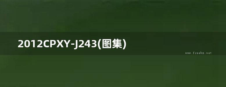 2012CPXY-J243(图集) 镭纳（RHINO）喷涂高弹橡胶沥青防水涂料